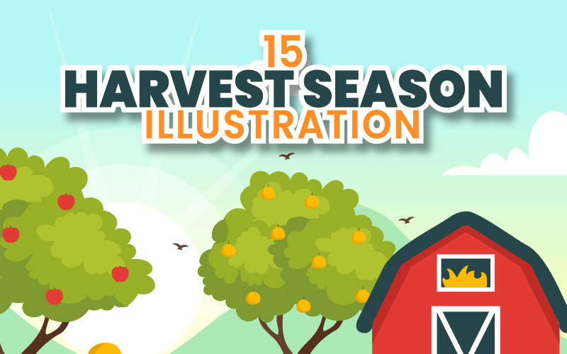 15 Illustrazione vettoriale della stagione del raccolto