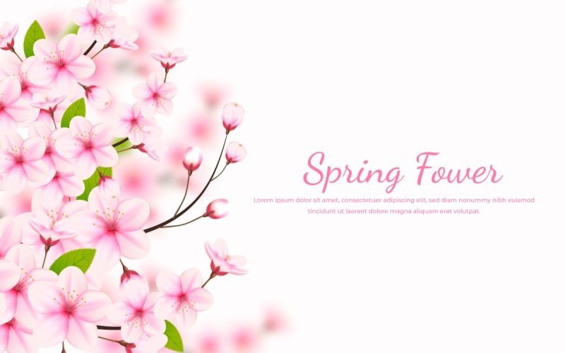 Reális virágzó cseresznye virágok háttér és szirmok illusztráció, cseresznyevirág vektor