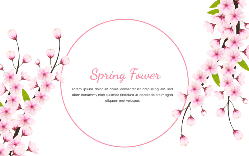 Quadro de flor de cerejeira com espaço para texto. ilustração vetorial