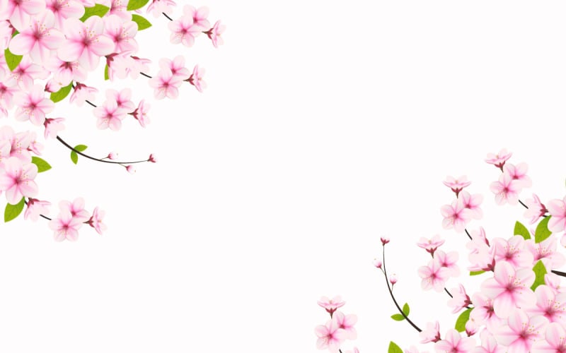 Primavera Sakura ramo sfondo illustrazione vettoriale. Rosa Ciliegia