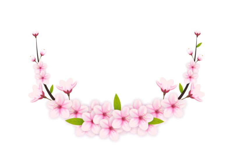 Sakura відділення фон Векторні ілюстрації. Рожевий вишневий цвіт