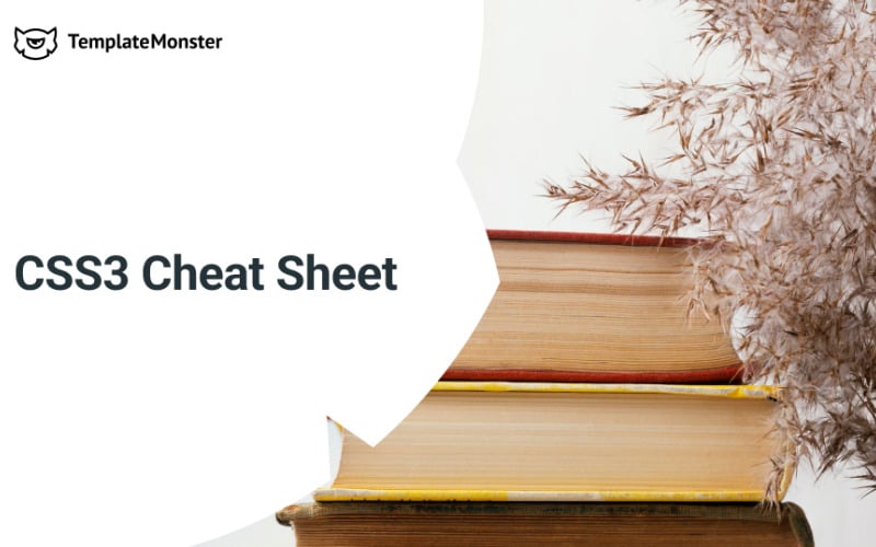 CSS3 Cheat Sheet Free eBook #341989 - TemplateMonster