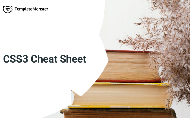 CSS3 Cheat Sheet Zdarma e-kniha