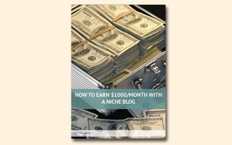 Cómo ganar $ 1000 por mes con un libro electrónico gratuito de blog de nicho