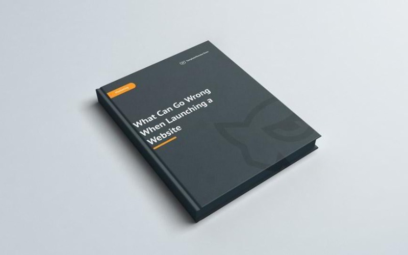 Libro electrónico gratuito ¿Qué puede salir mal?