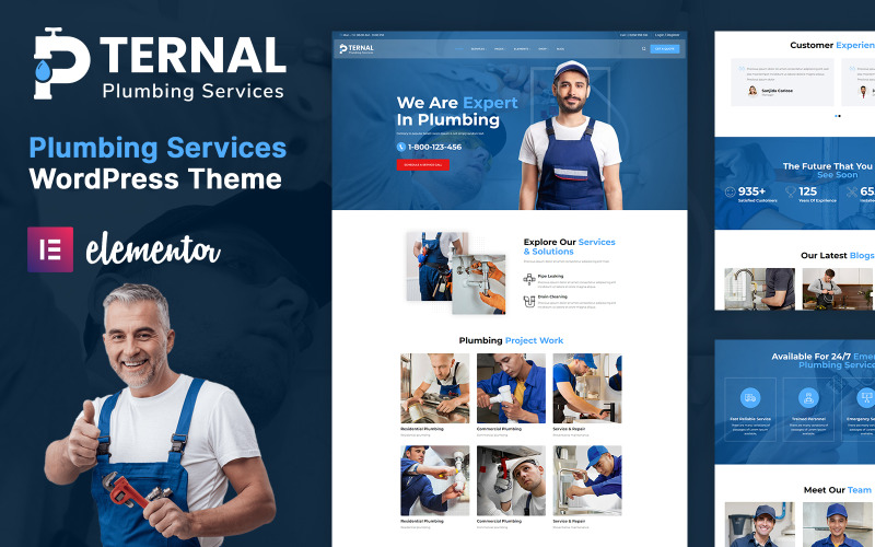 Ternal – тема WordPress для служб сантехніка, різноробочого та ремонту