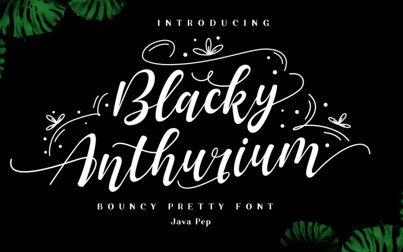 Blacky Anthurium / kabarık güzel yazı tipi