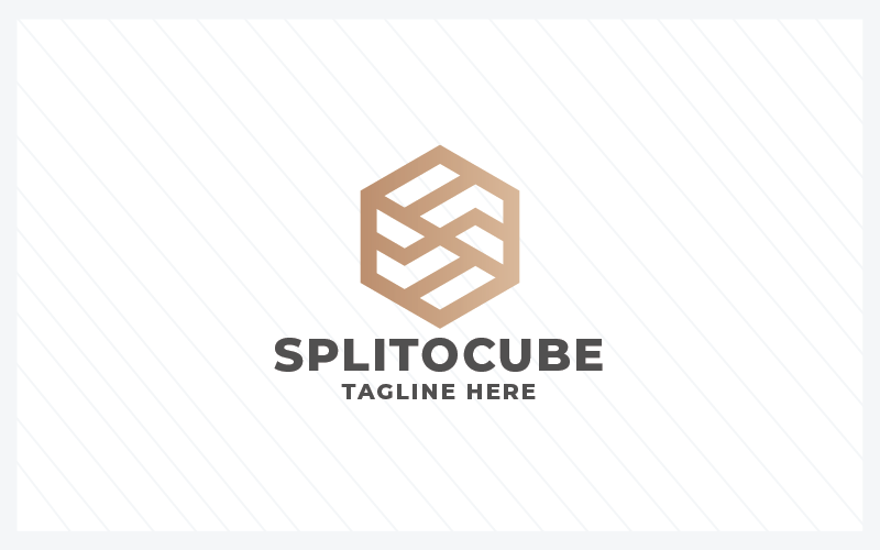 Modèle de logo Cube Line Split Pro