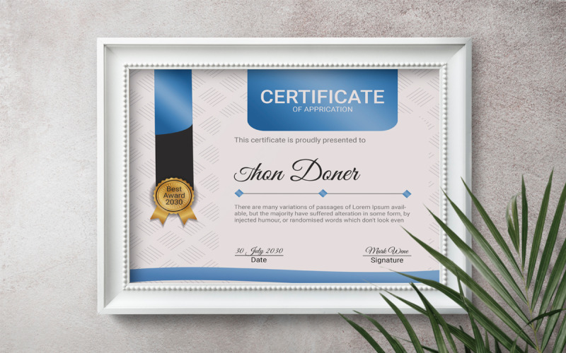 Professioneel Diploma Certificaat Sjabloonontwerp