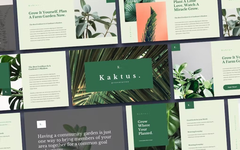 Kaktus - Элегантный шаблон Keynote