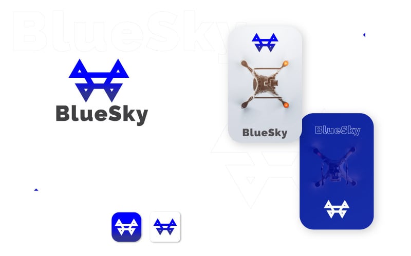 Drone Logo with branding guidelines and mobile app icon design