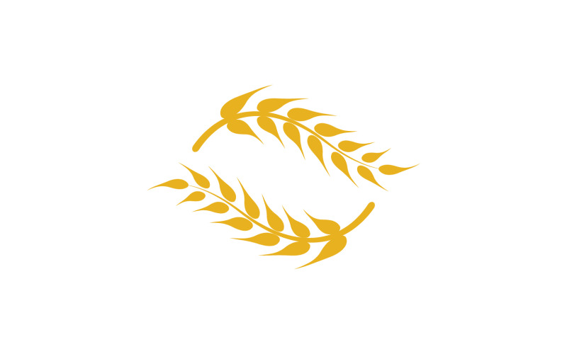 Trigo avena arroz logo comida v.6
