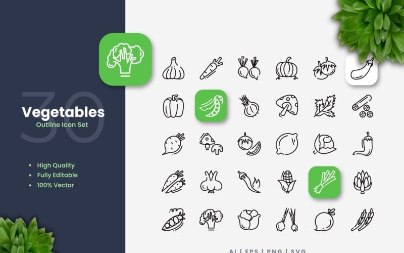 30 Gemüse-Umriss-Icon-Set
