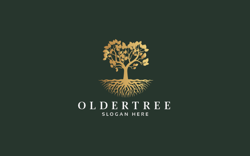 Modelos de logotipo de árvore profissional mais antigos
