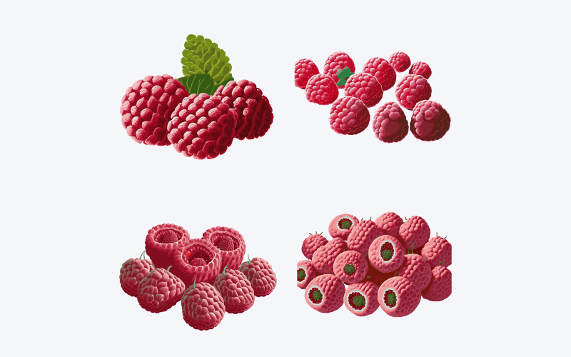 Mooie framboos op effen achtergrond, vectorillustratie