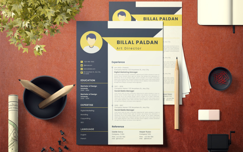 CV professionnel moderne