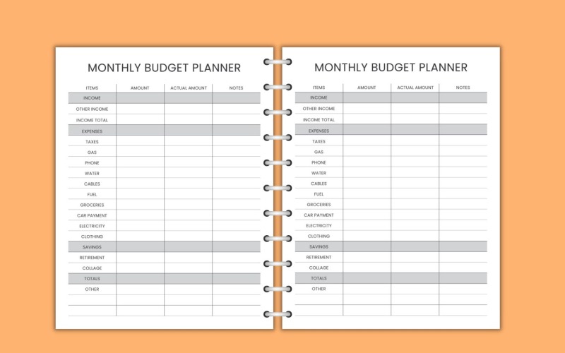 Planejador ou rastreador de orçamento mensal