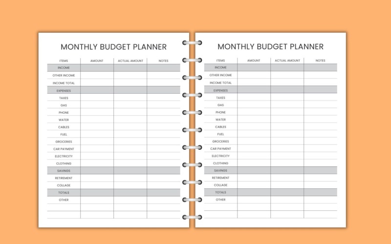 Planificateur de budget minimal mensuel d'août Journal à balles Organisateur  budgétaire Suivi des revenus Suivi de facture Suivi de la dette Suivi des  économies -  France