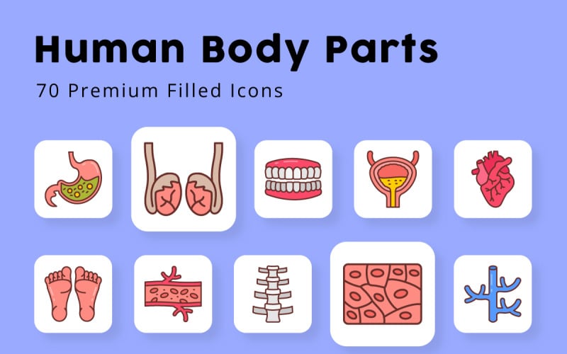 Icone riempite di parti e organi del corpo umano