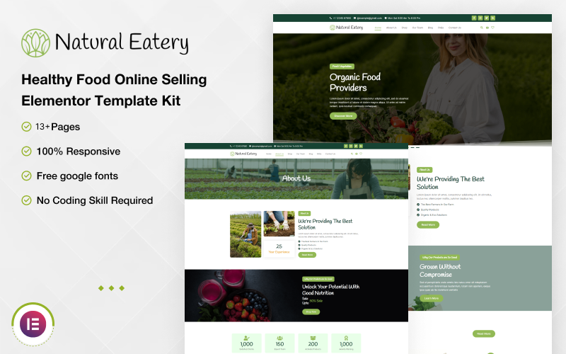 Natural Eatery — комплект шаблонов Elementor для онлайн-продажи здоровой пищи