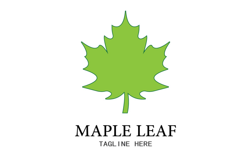 Blad Mapple vector logo pictogram v1