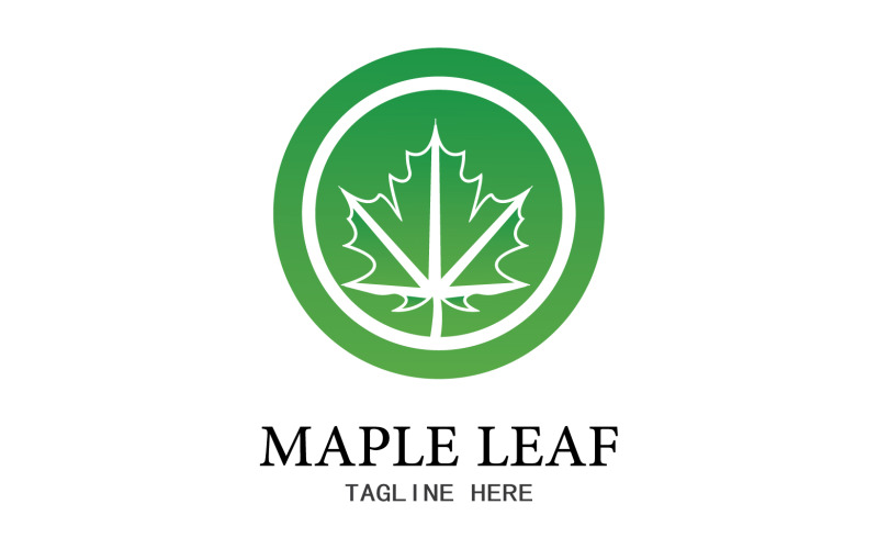 Icona del logo vettoriale foglia Mapple v24