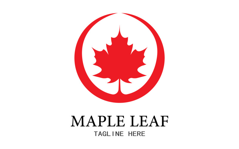 Leaf Mapple vector logo icon v17 #355068 - TemplateMonster