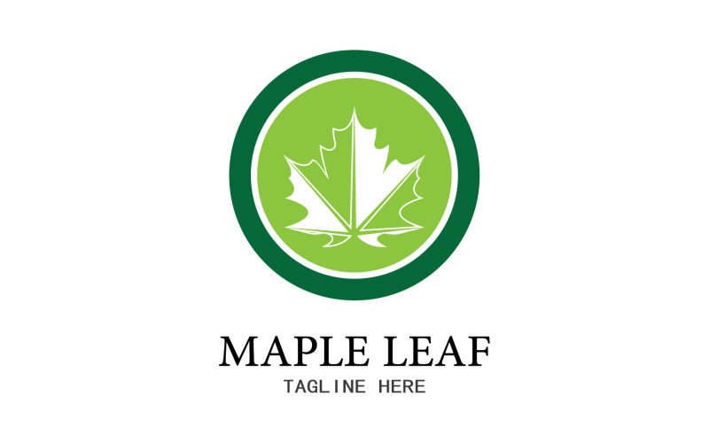 Leaf Mapple vector logo icon v26 #355078 - TemplateMonster