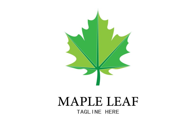 Значок векторного логотипа Leaf Mapple v5
