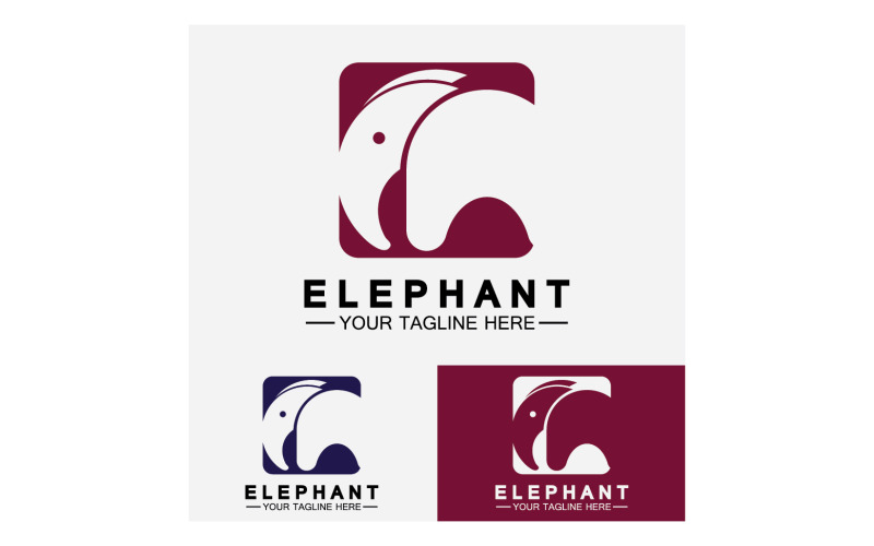 Elefantdjur logotyp vektor v16