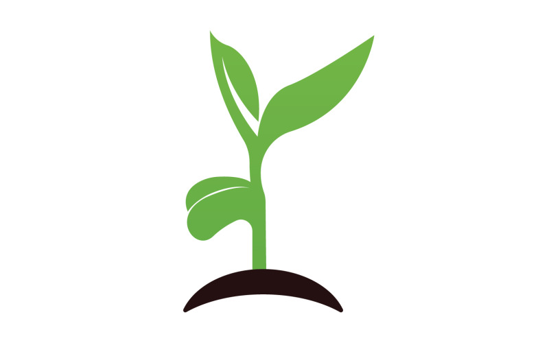 Logotipo de plantilla de brotes de semillas y brotes v26