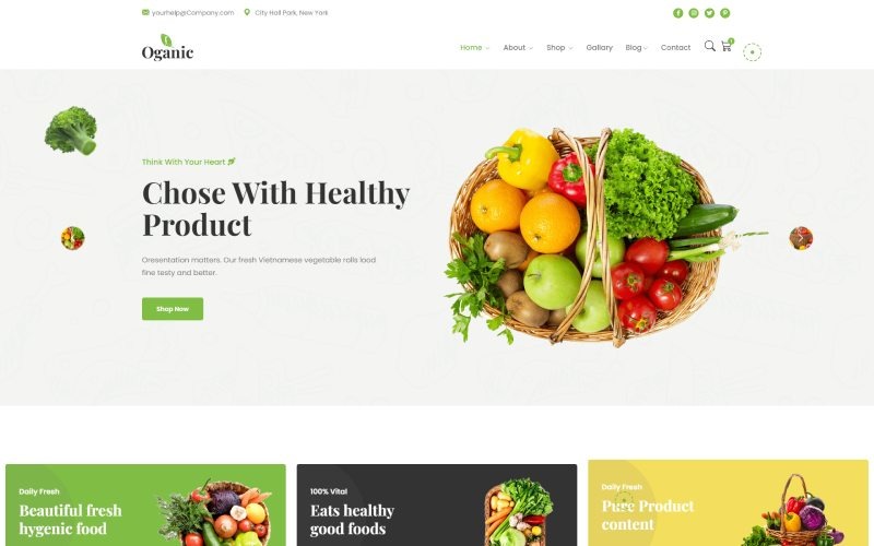 Modèle HTML5 de fruits et d'aliments biologiques