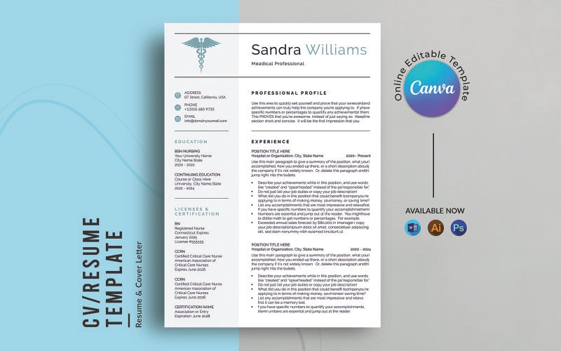Modelo de currículo Canva | Modelo de currículo profissional em Word