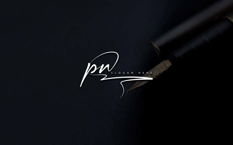 Kreativní fotografie PN Letter Logo Design