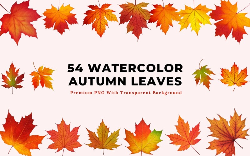 54 Watercolor Autumn Leaves Clipart
