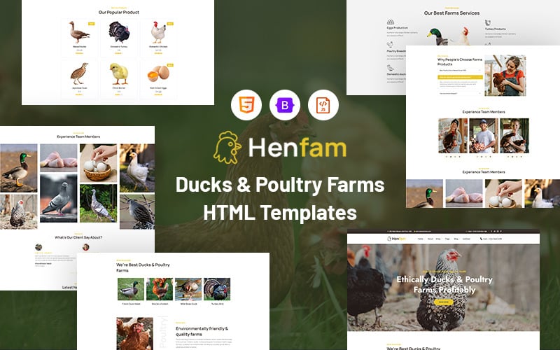 Henfam – Kacsák és baromfifarmok webhelysablonja