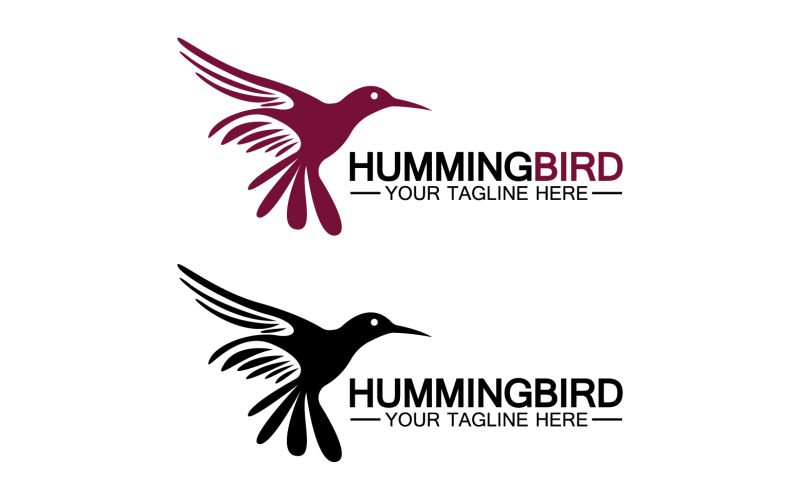 Plantilla de logotipo de icono de colibrí v7