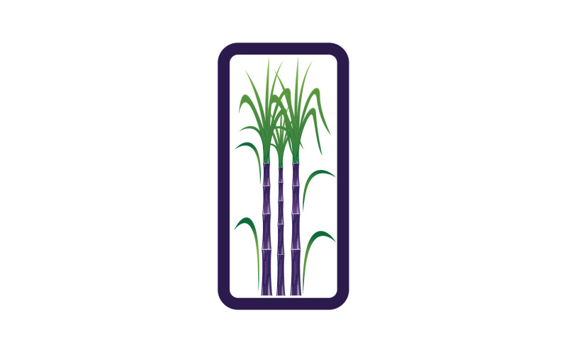 Suikerboom sjabloon vector logo v13