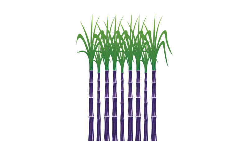 Suikerboom sjabloon vector logo v8