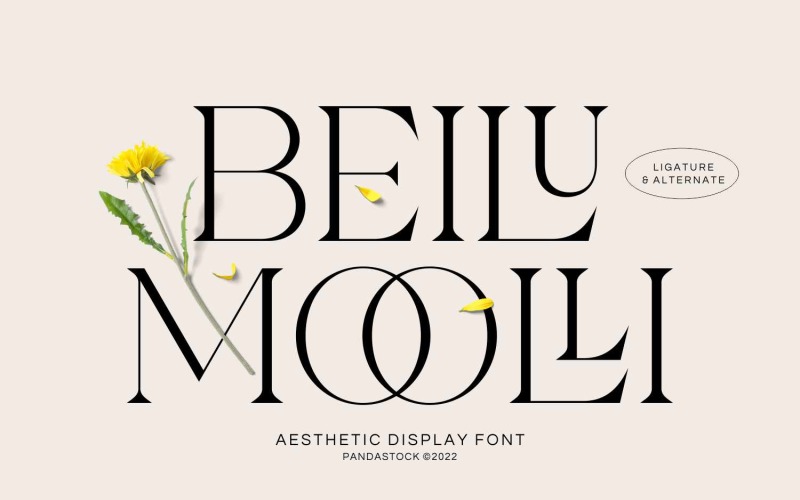 Стиль шрифта Beilu Moolli Необычный
