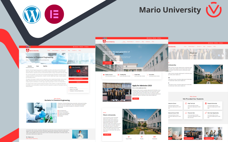 Mario Üniversitesi - Elementor Şablon Seti