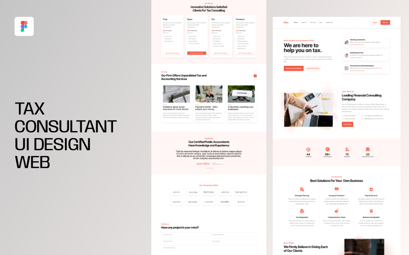 Daňový poradce UI Design Web