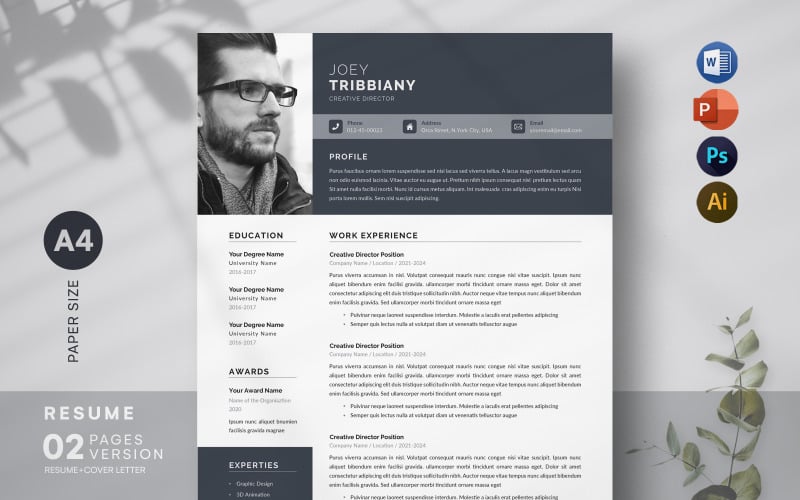 Modèle de CV moderne, CV professionnel