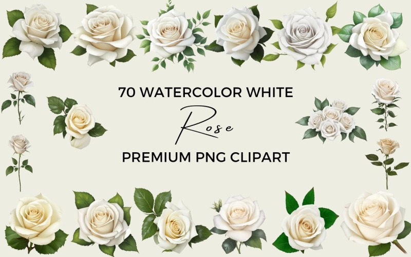 70 акварельних білих троянд у форматі PNG