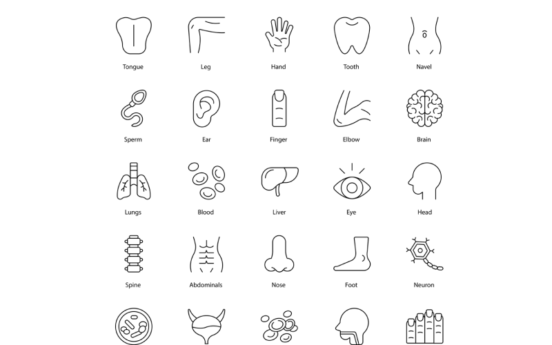Menselijk lichaam pictogrammen bundel arts pictogramserie