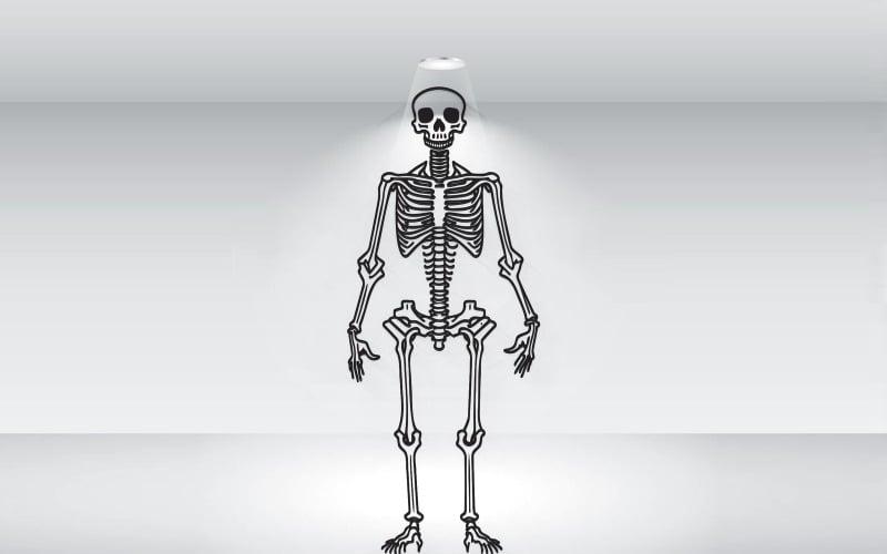 Menschliches Skelett, Abbildung, Schwarz Weiß, Vector