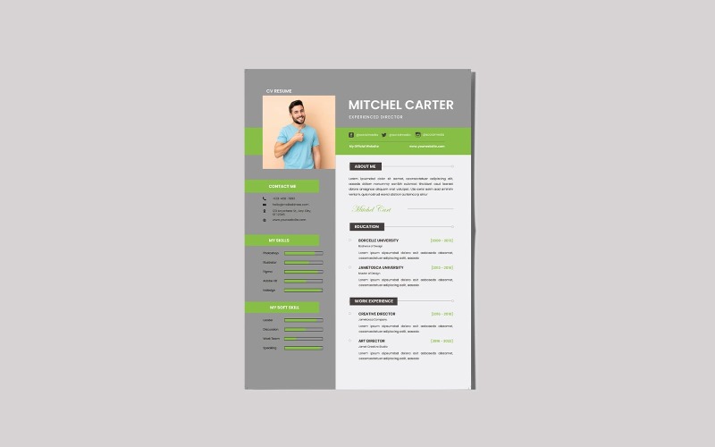 Curriculum Mr.Perfetto | Modello di CV