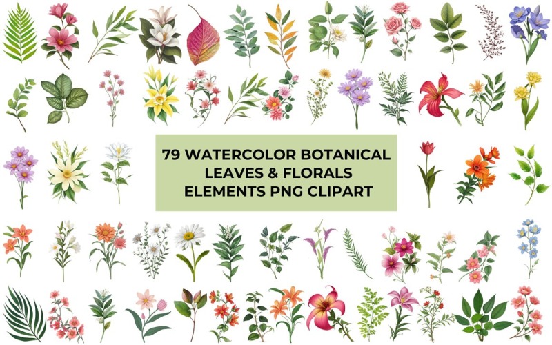 Klipart akvarel botanické listy a květiny