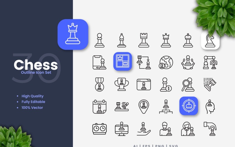 Conjunto de 30 iconos de esquema de ajedrez