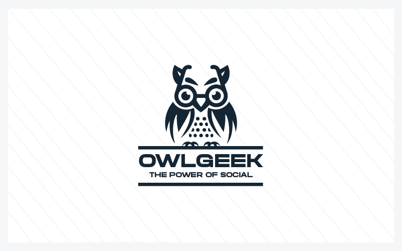 Modèle Pro de logo Owl Geek